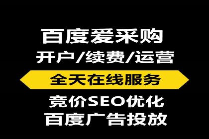 SEM代运营公司成功案例：助力企业快速实现盈利